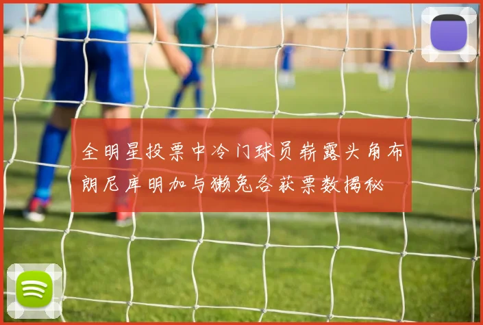 全明星投票中冷门球员崭露头角布朗尼库明加与獭兔各获票数揭秘
