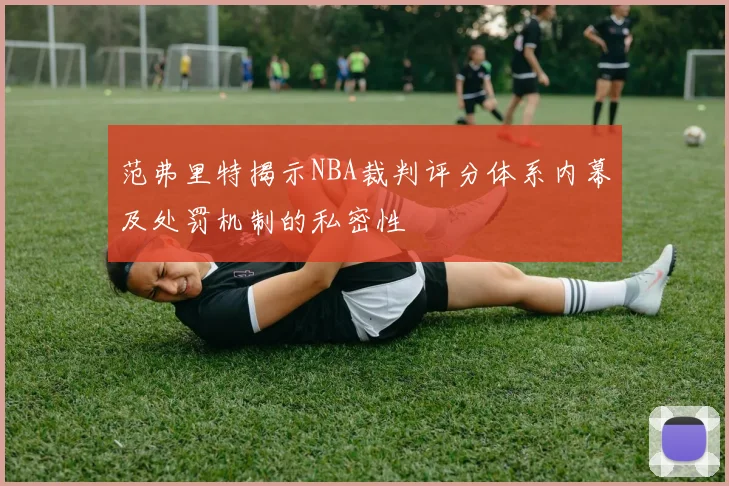范弗里特揭示NBA裁判评分体系内幕及处罚机制的私密性