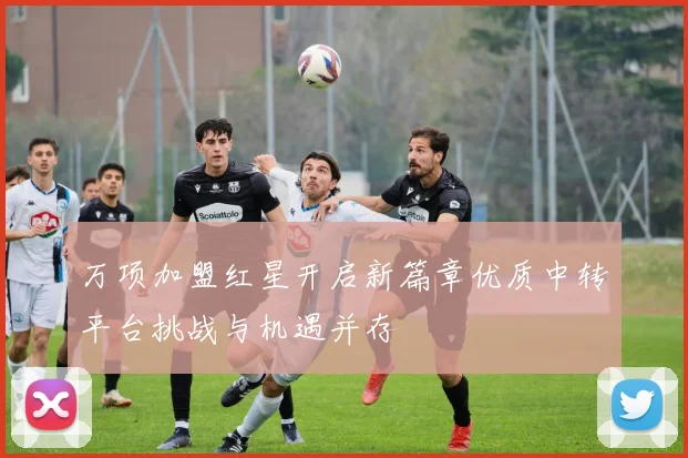 万项加盟红星开启新篇章优质中转平台挑战与机遇并存
