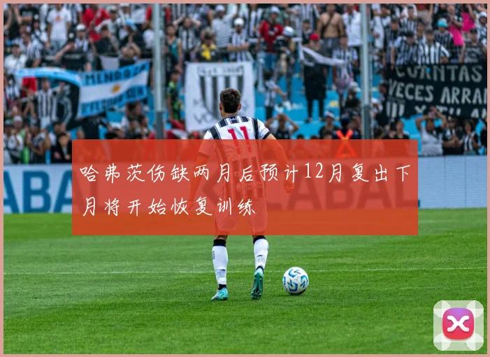 哈弗茨伤缺两月后预计12月复出下月将开始恢复训练
