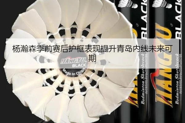 杨瀚森季前赛后护框表现提升青岛内线未来可期 - BAJIESPORTS